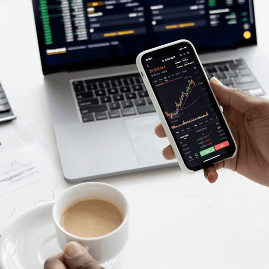 Mentarinox Illustration der Leistungsanalyse